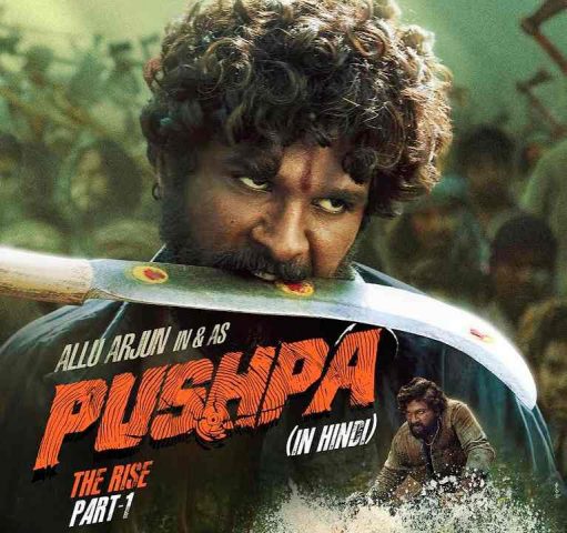 Pushpa - The Rise (Hindi) Official Trailer