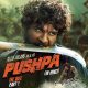 Pushpa - The Rise (Hindi) Official Trailer